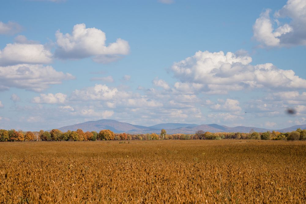 Photograph by Мария Яровая