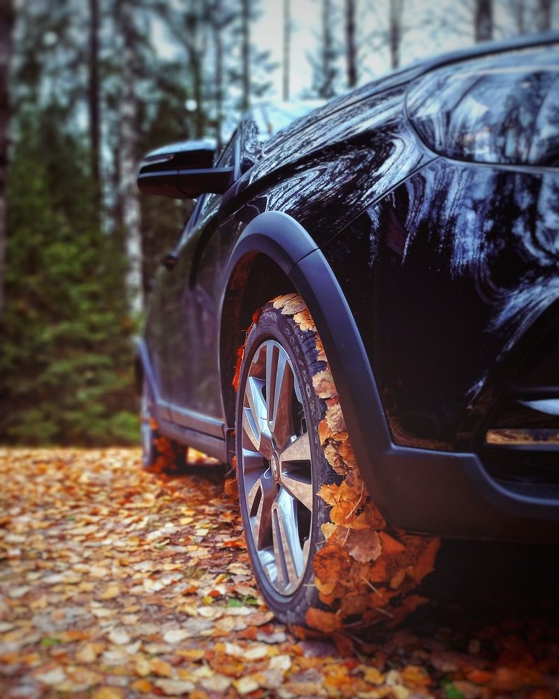 Photograph by Люда Яковлева