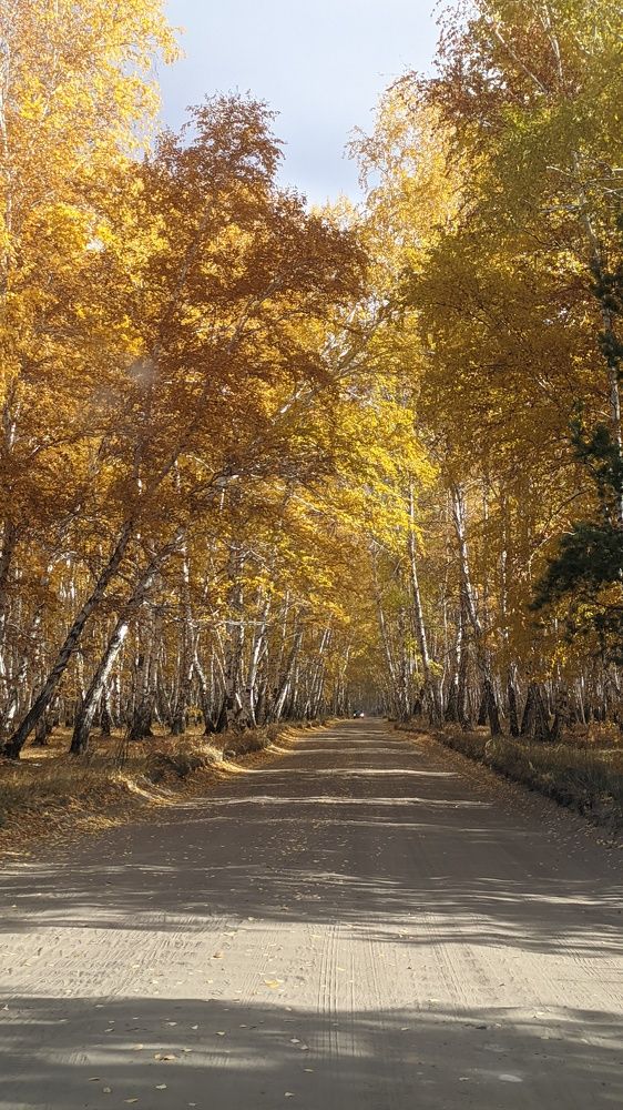 Фотография автора Оксана Никулина