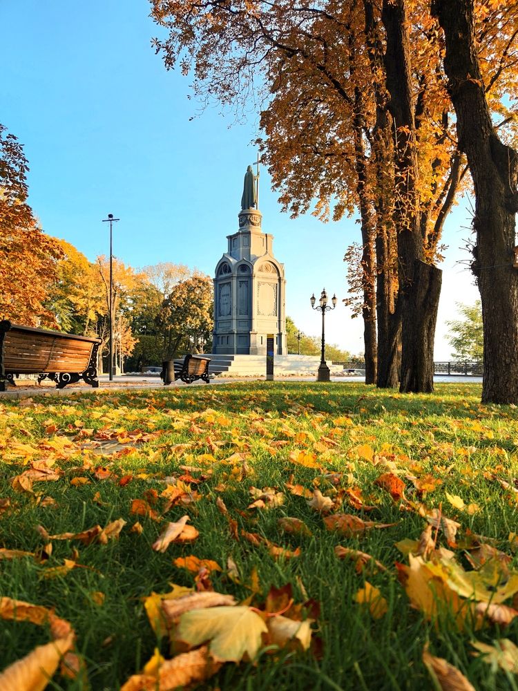 Autumn leaves in park