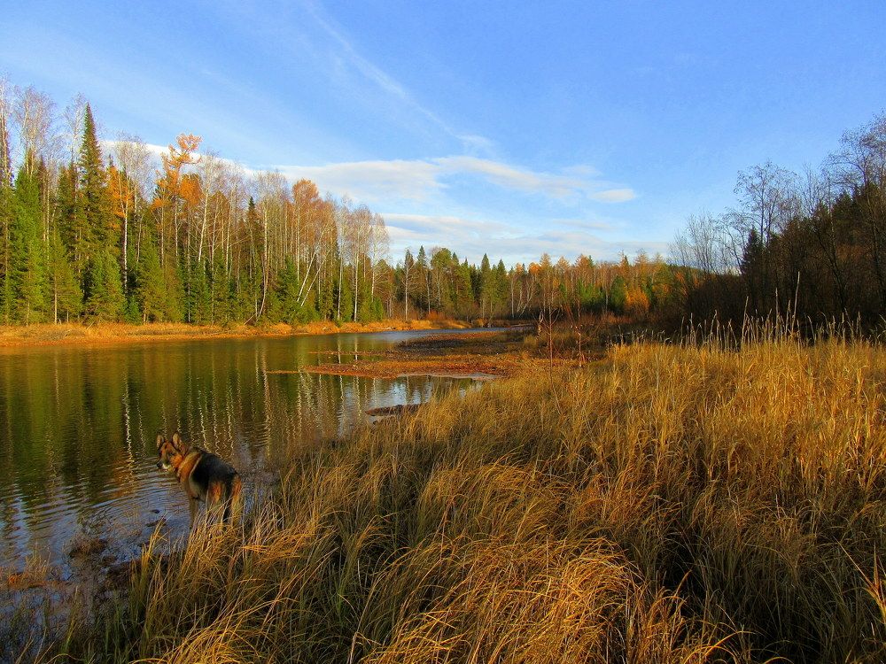 Photograph by Ирина Осипова