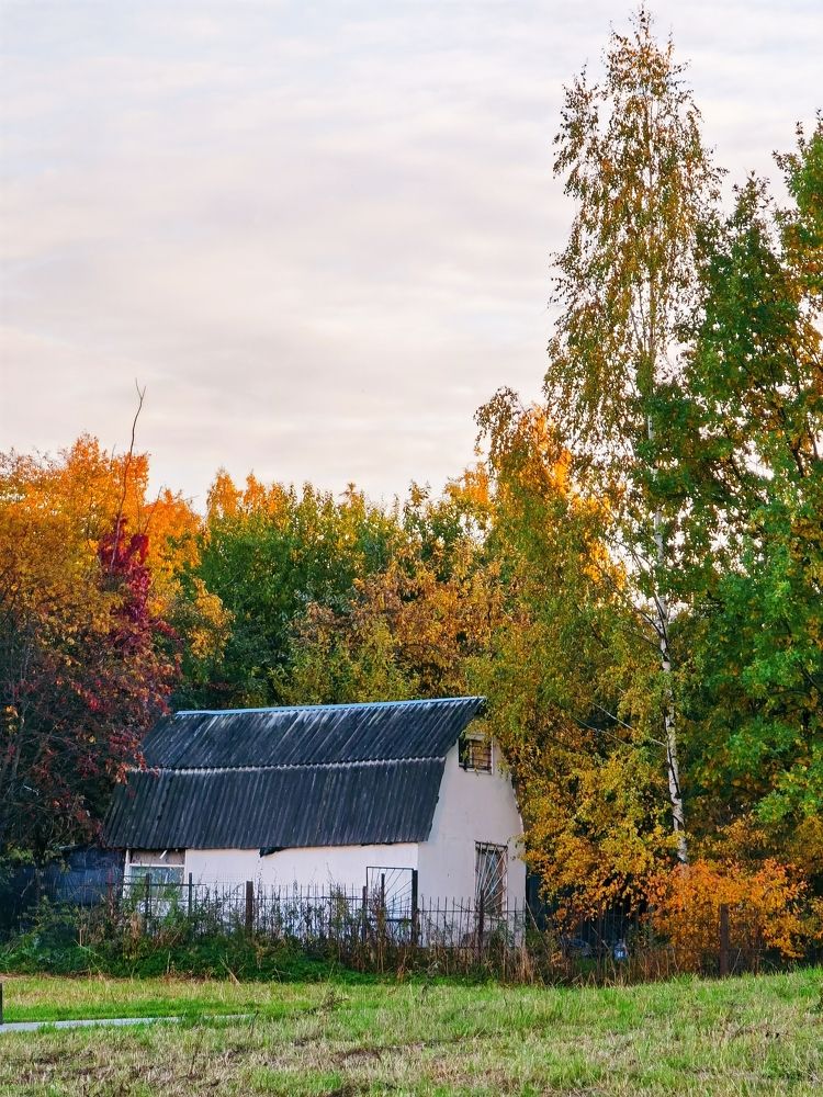 Photograph by Олика