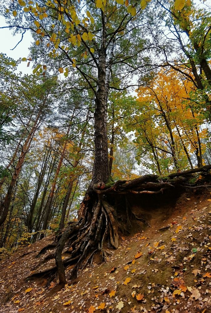 Photograph by Олика