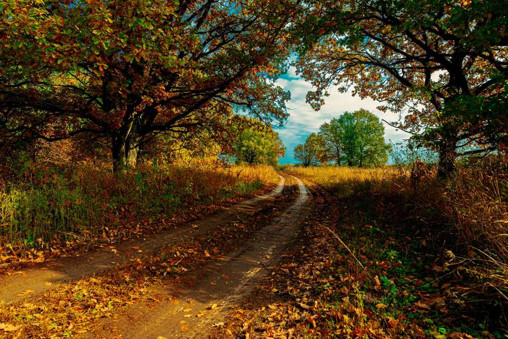 Фотография автора Сергей Сморчков