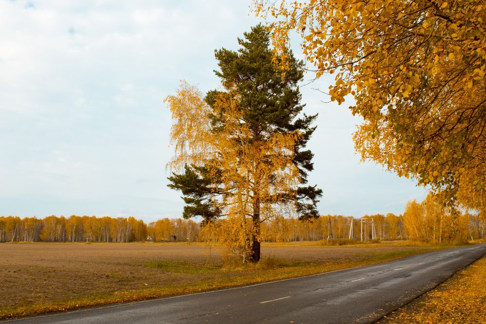 Photograph by Наталия