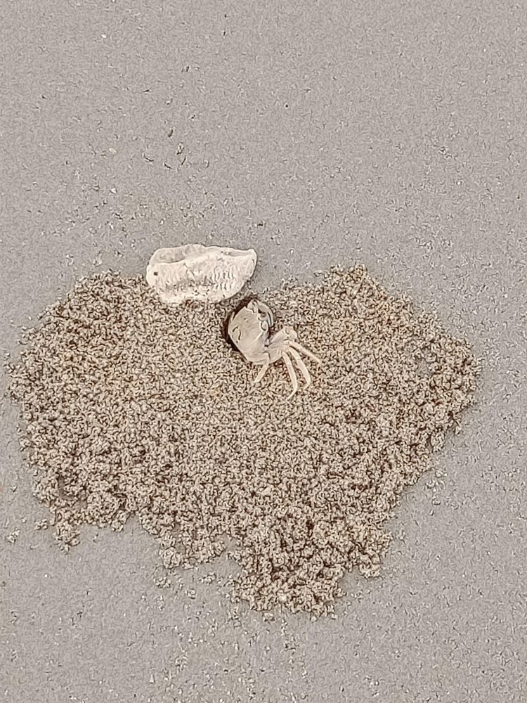 In the heart of the beach.