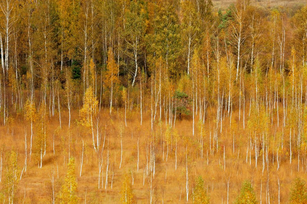 Photograph by Юрий Яковлев