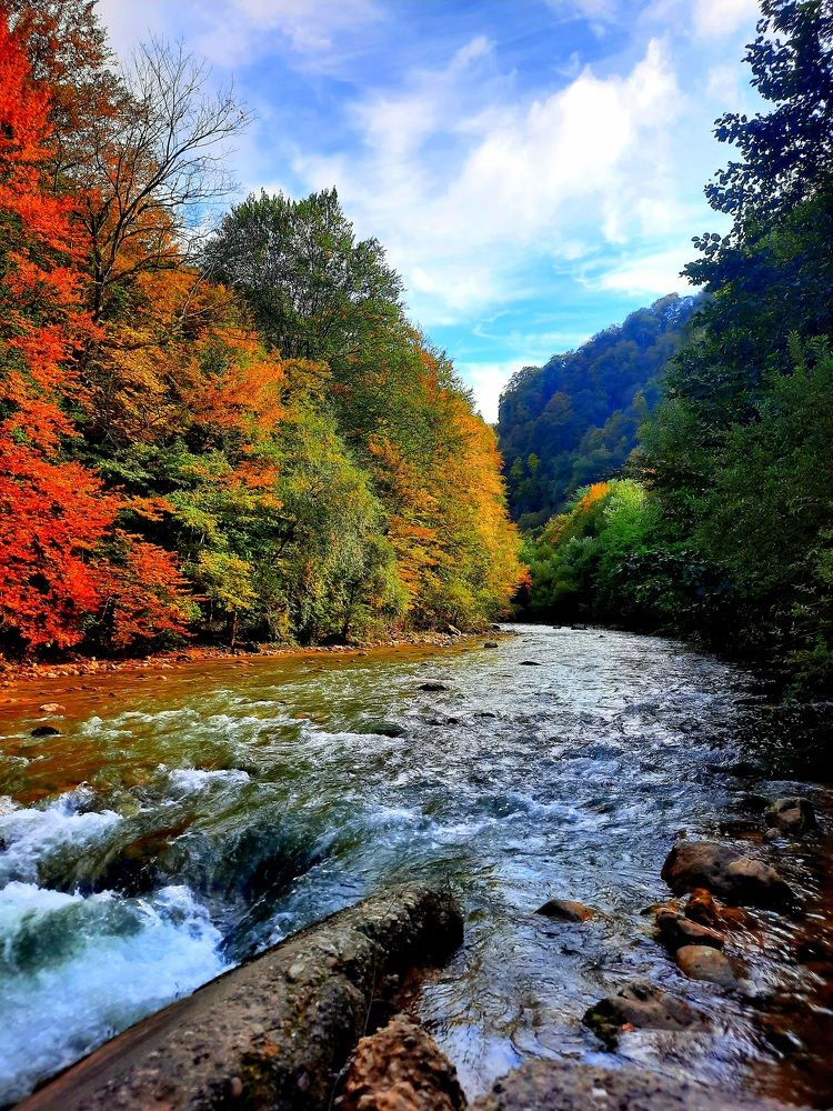 Photograph by Дмитрий Черкашин