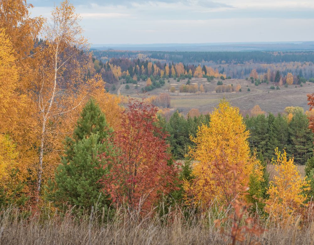 Фотография автора Виктор Руденко