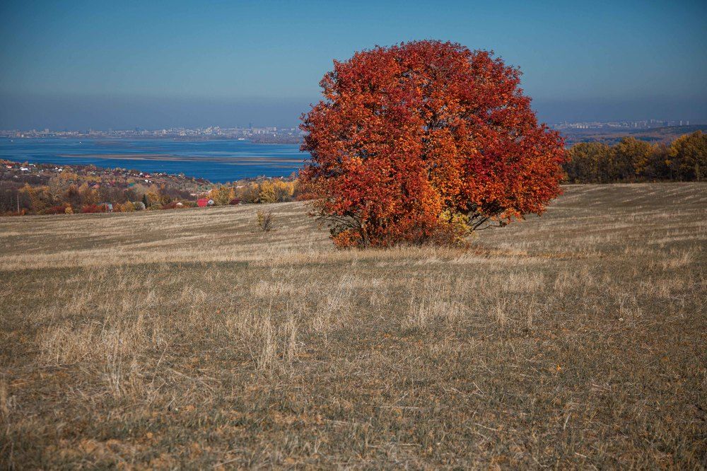 Photograph by Светлана Кавказская