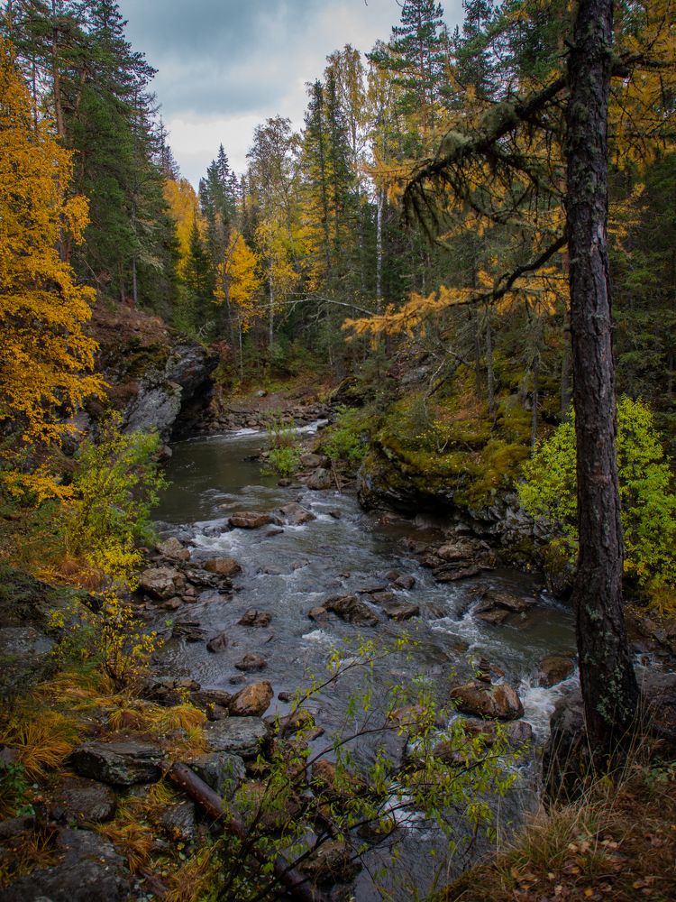 Фотография автора Андрей Шитиков