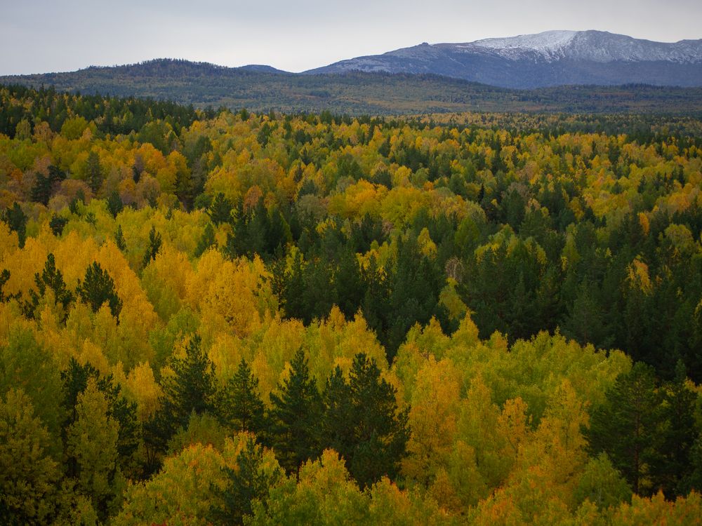 Фотография автора Андрей Шитиков