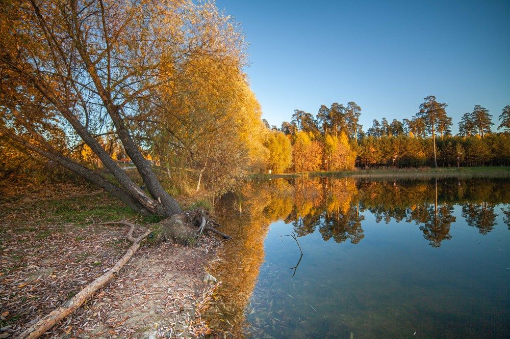 Photograph by Светлана Кавказская