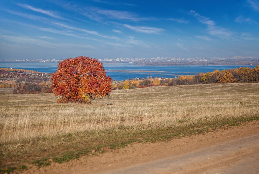 Photograph by Светлана Кавказская