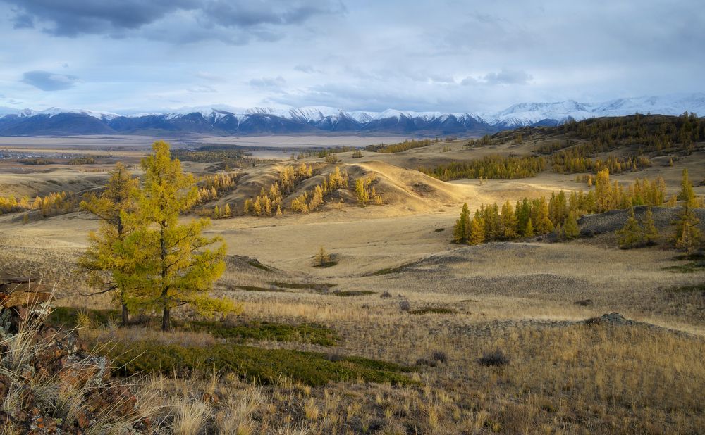 Photograph by Олег Иваницкий