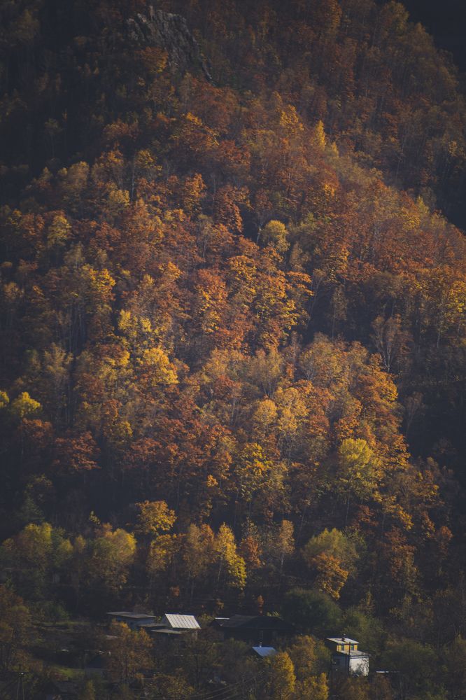 Photograph by Алексей Перегудин