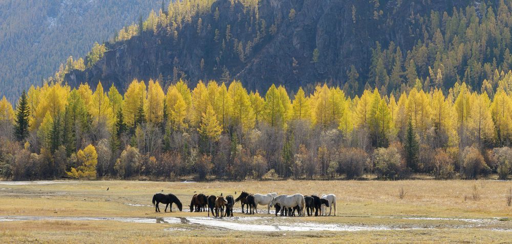 Photograph by Олег Иваницкий