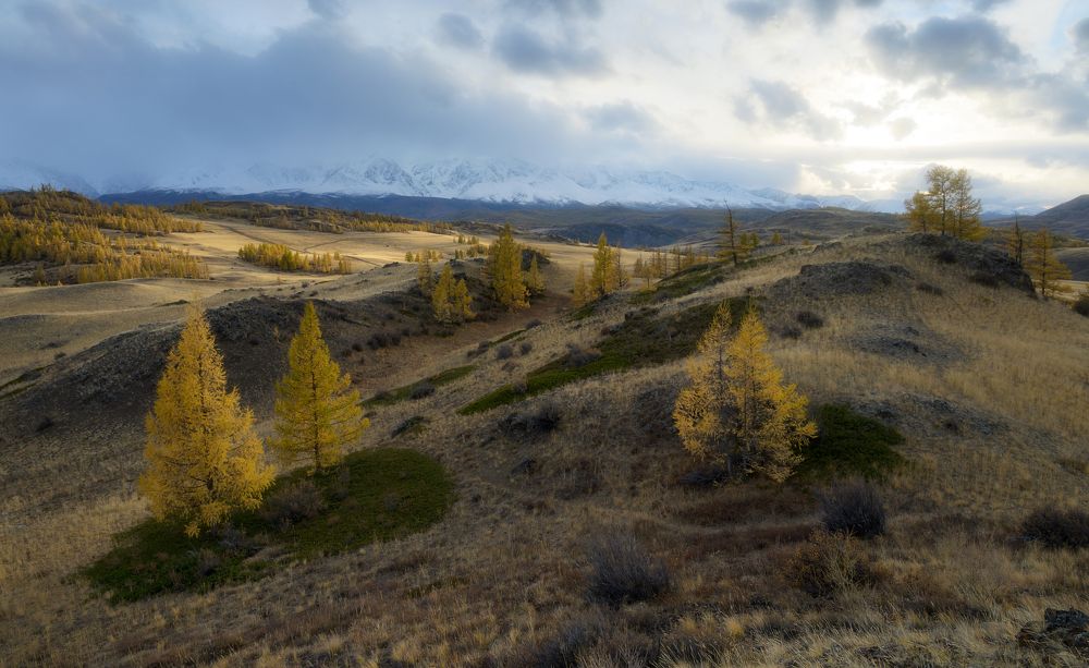 Photograph by Олег Иваницкий