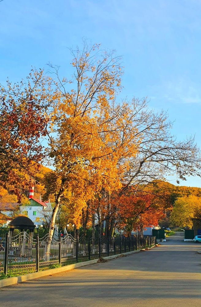 Photograph by Наталья Налобина