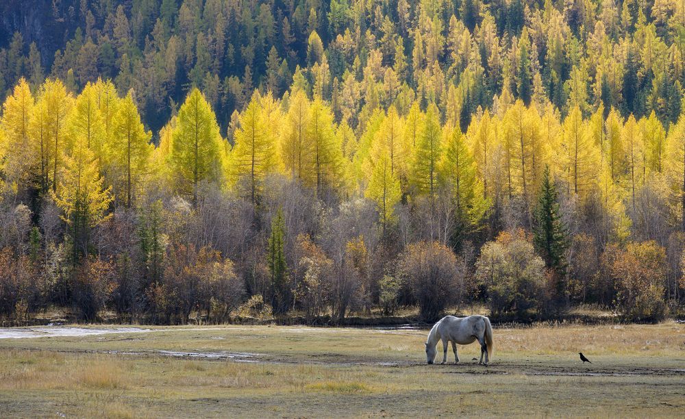 Photograph by Олег Иваницкий