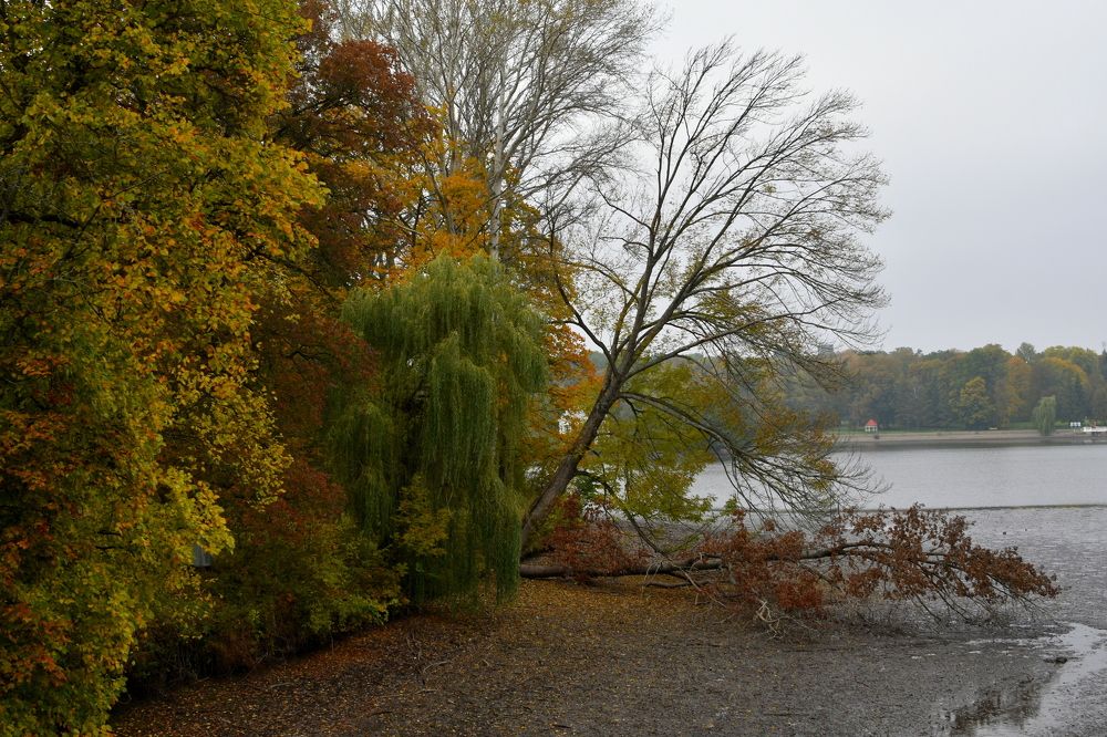 Осень в Марьино.