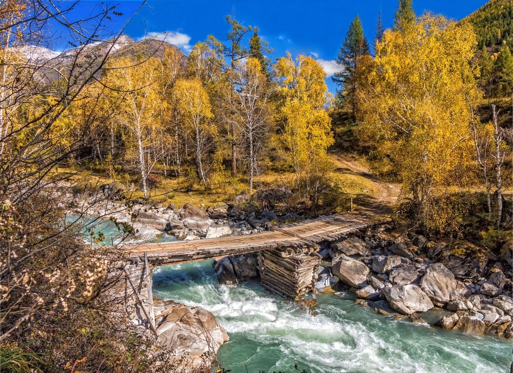 Мостик в осень.