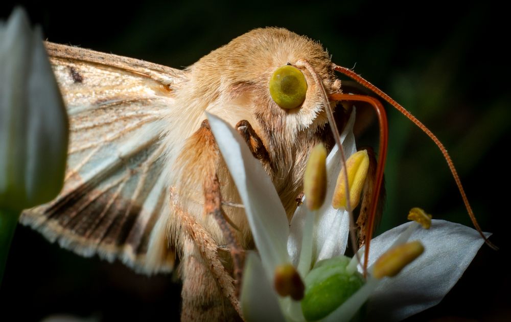 Photograph by Семко Александр