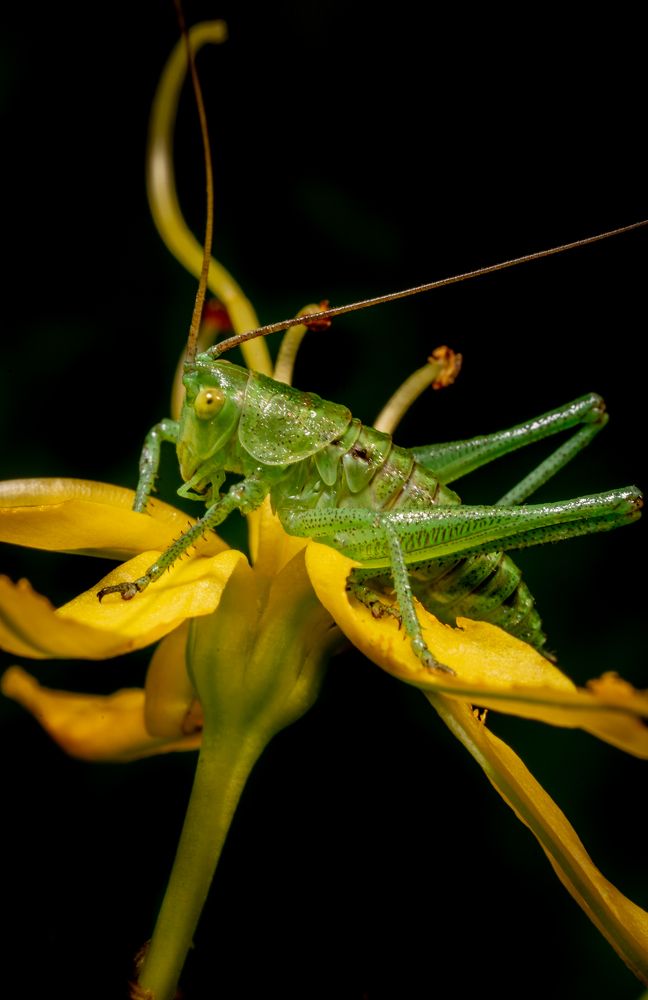 Photograph by Семко Александр