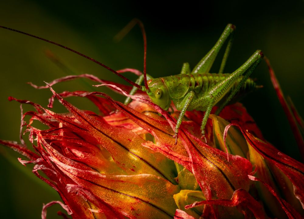 Photograph by Семко Александр