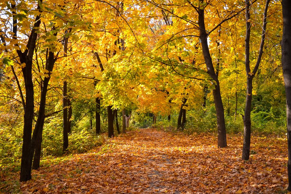 Photograph by Галя Кочубей