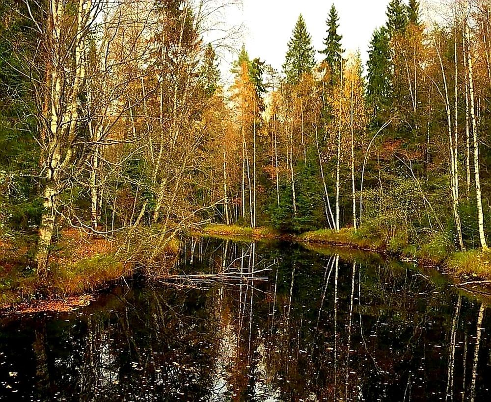 Осень в Карелии