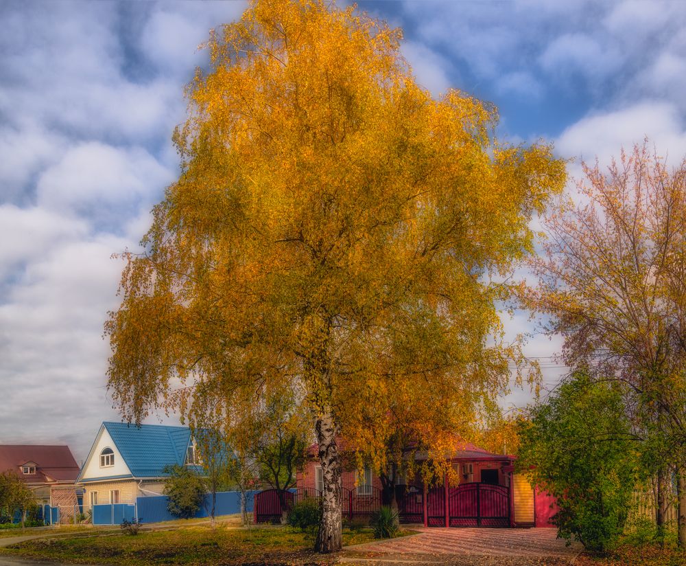 Photograph by Владимир Кваша
