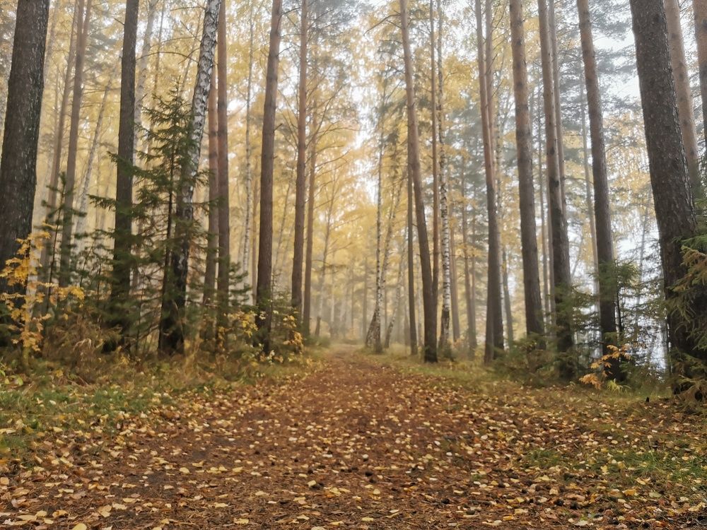 Photograph by Ксения Ершова