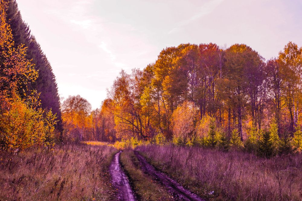 Photograph by Денис Геранькин