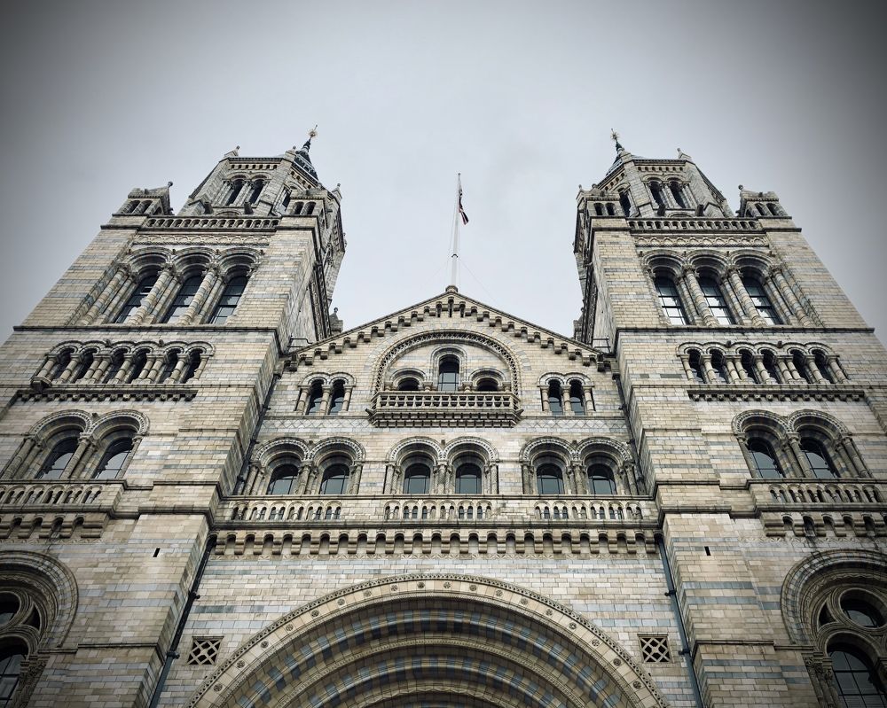 Photograph by Анастасия Бравичева