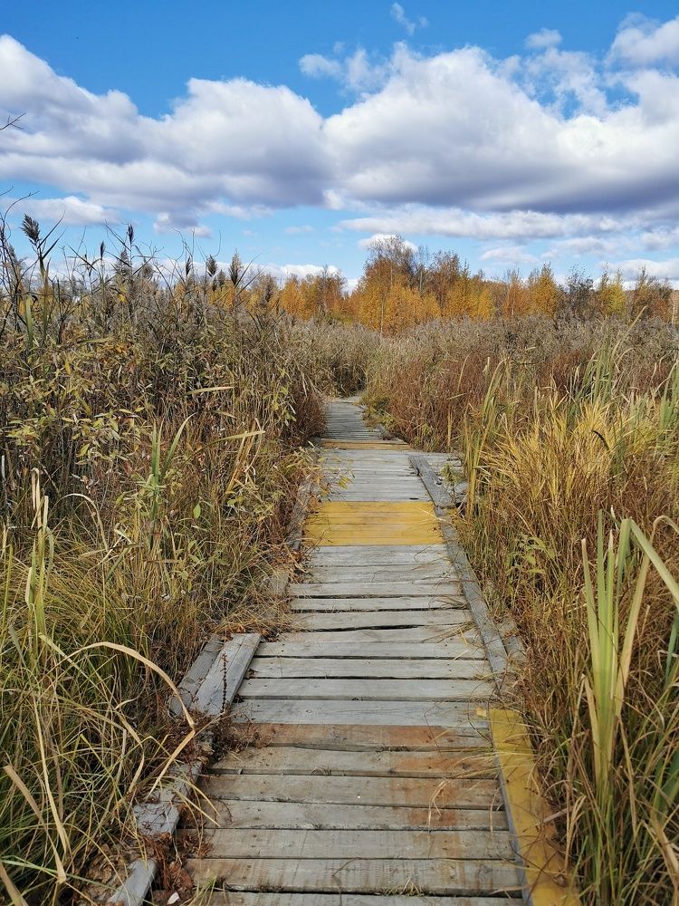 Photograph by Ксения Ершова