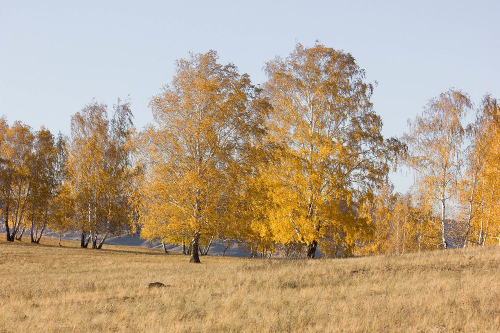 Photograph by Natalia Shilova