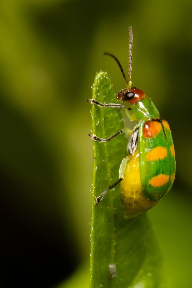 Photograph by Bruna Pinto Pereira