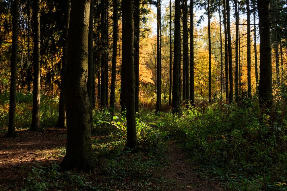 Photograph by Леонтьев Михаил