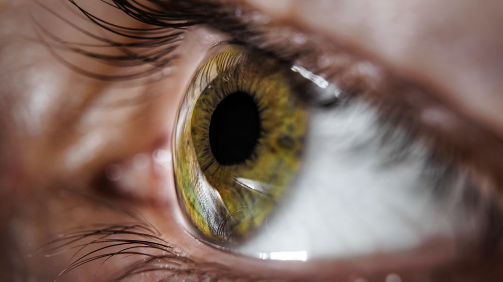 Photograph by Егор Синицын