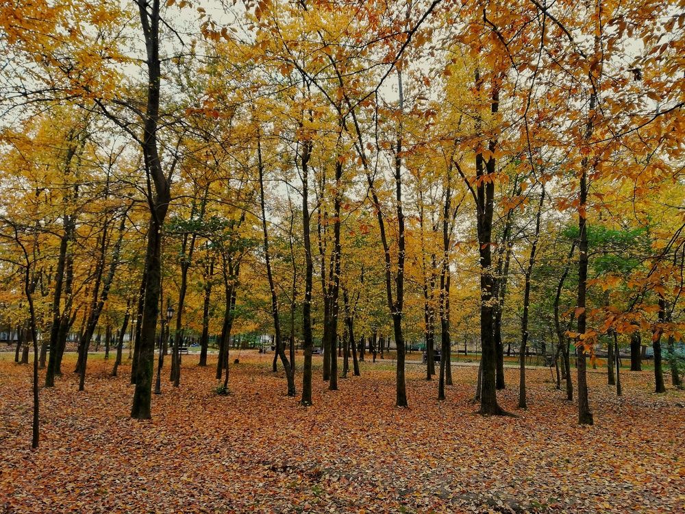 Photograph by yousef z shima