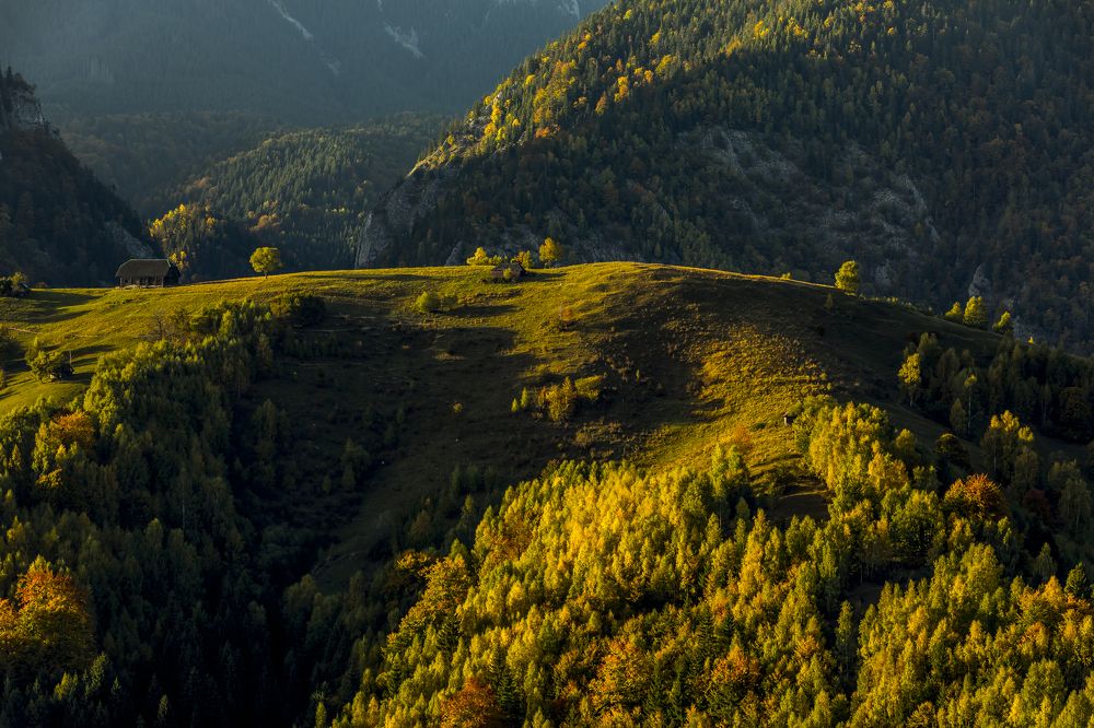 Фотография автора Comșa Bogdan