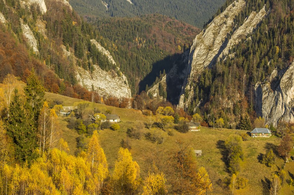 Фотография автора Comșa Bogdan
