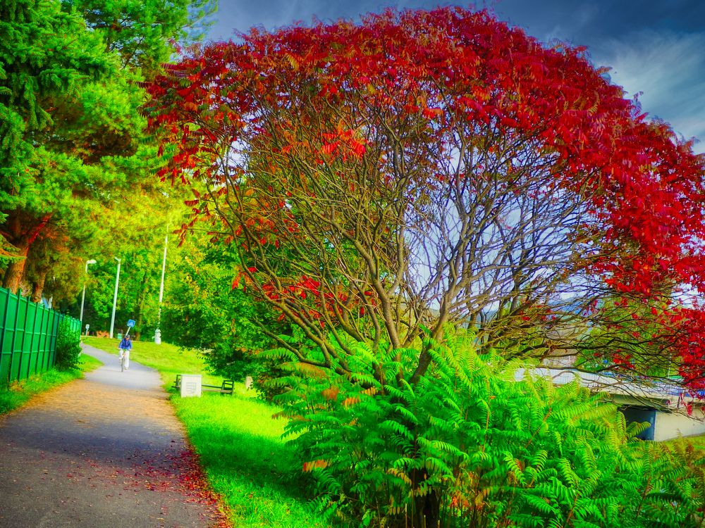 Photograph by Ondrej Pôbiš