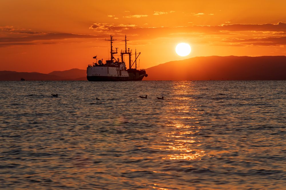 Photograph by Александр Кузнецов