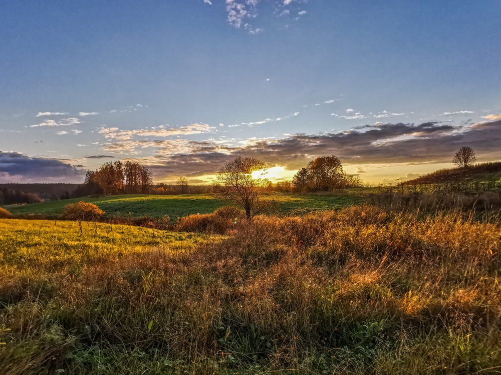 Photograph by Valensia Ludus
