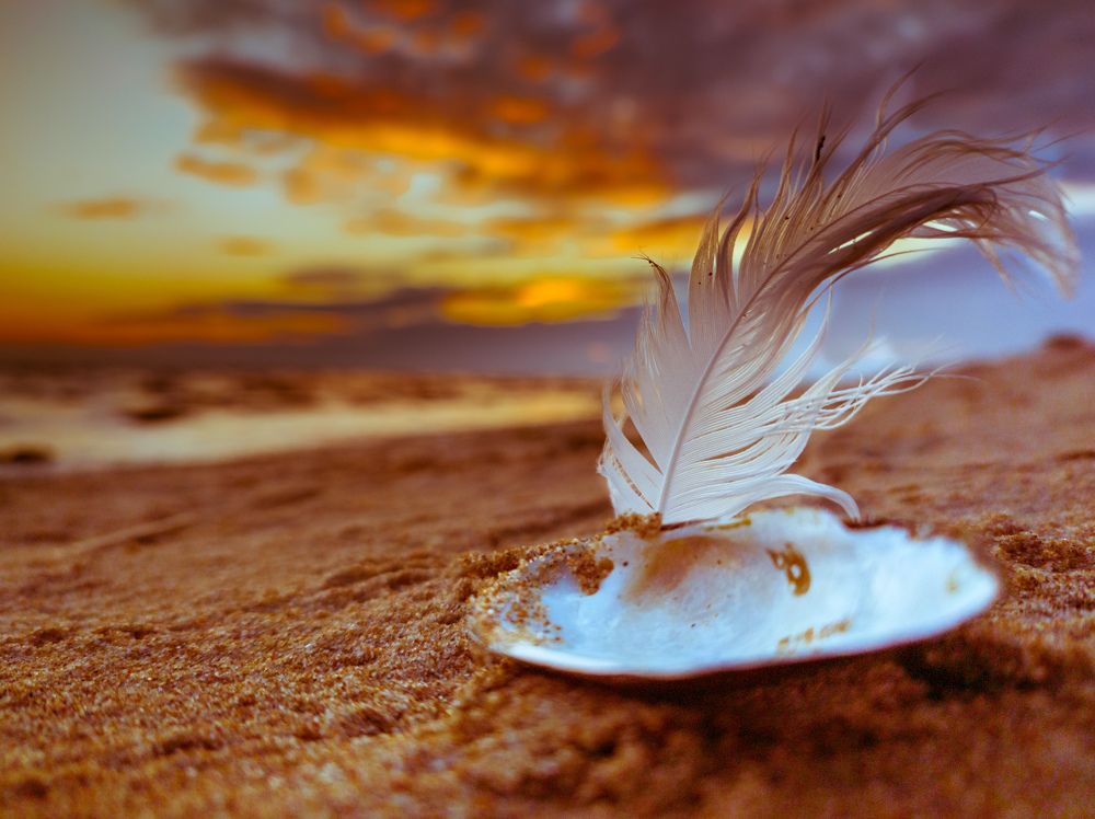 Photograph by Chic.chiquitita