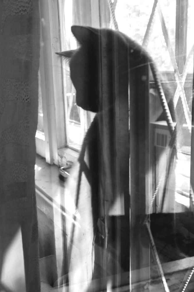 Между мирами