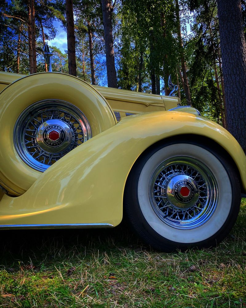 Photograph by Светлана Коган