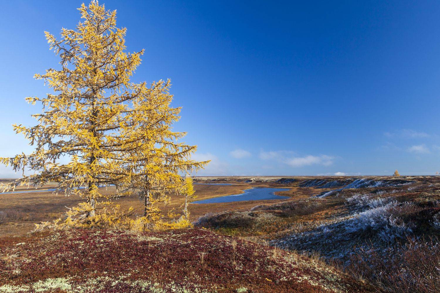 Фотография #6591981